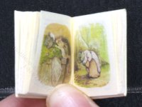 (image for) Miniature Book: Beatrix Potter's 'The Tale of Timmy Tiptoes'