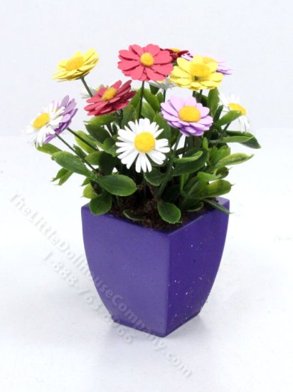 (image for) Miniature Daisy Arrangement by Mini Creations