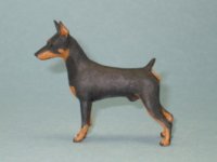 (image for) Miniature German Pinscher By Karl Blindheim