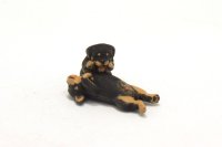 (image for) Pair of Miniature Rottweiler Puppies by Karl Blindheim