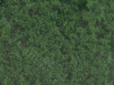 (image for) Miniature Coarse Turf, Dark Green for Dollhouses