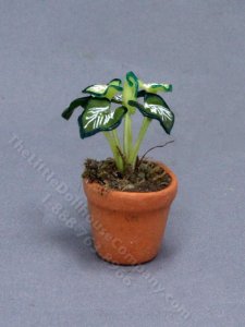 (image for) Miniature Potted Arrowhead Vine for Dollhouses
