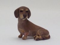 (image for) Miniature Female Wire-Haired Dachshund by Karl Blindheim
