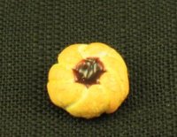 (image for) Dollhouse Miniature Danish