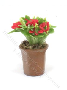 (image for) Miniature Poinsettia in a Clay Pot