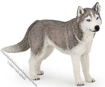 (image for) Miniature Silver Husky Dog for your dollhouse