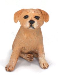 (image for) Miniature Norfolk Terrier by Karl Blindheim