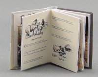(image for) Dollhouse Scale Model Panorama Pop-up Book