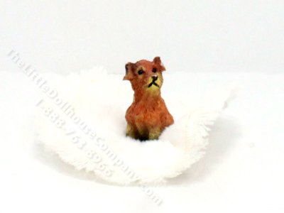 (image for) Dollhouse Scale Model Terrier Playing w/Scrunched Carpet