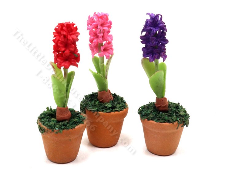 (image for) Miniature Hyacinth in Terracotta Pot for Dollhouses