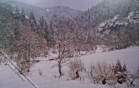 (image for) Winter Walk Scene Miniature Mural for Dollhouses