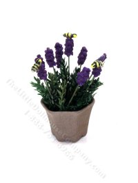 (image for) Miniature Lavender with Bees by Charlotte Willmott