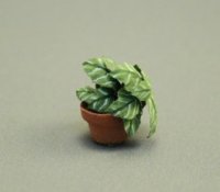 (image for) 1/2" Plant in Pot