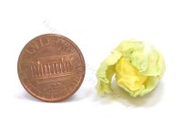(image for) Miniature Cuttable Head of Romaine Lettuce