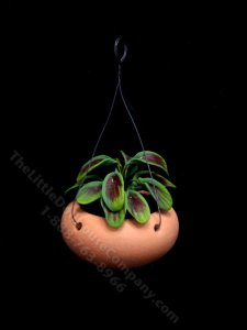 (image for) Miniature Hanging Greenery For Dollhouses