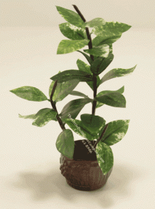 (image for) Miniature Rubber Plant For Dollhouses