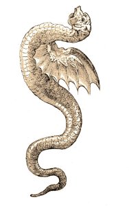 (image for) Miniature Book: 'Historia Serpentum et Draconum'