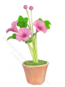 (image for) Miniature Morning Glories in a Pot for Dollhouses
