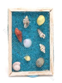 (image for) Miniature Small Shell Wall Art for Dollhouses