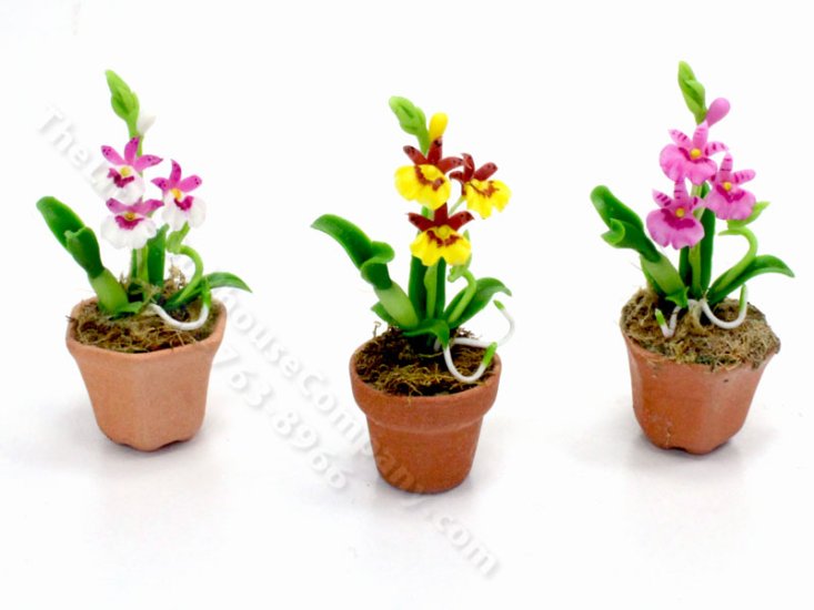 (image for) Miniature Moth Orchids for Dollhouses (1pc)