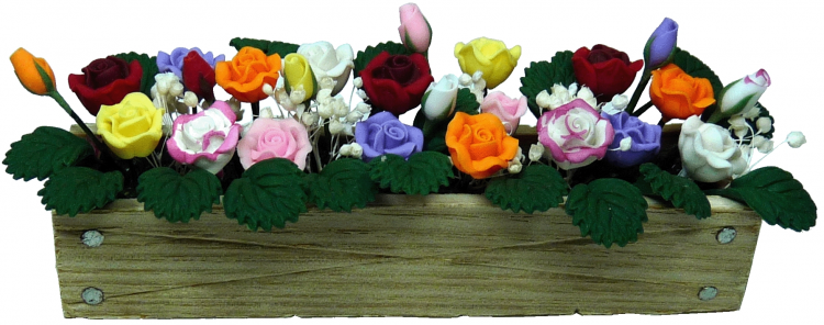 (image for) Miniature mixed Colour Roses in Wooden Window Box