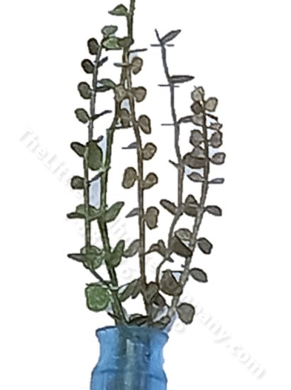 (image for) Miniature Laser Cut Eucalyptus Leaves Kit for Dollhouses