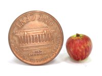 (image for) Miniature McIntosh Apples