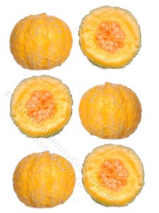 (image for) Miniature Cantaloupe Halves for Dollhouses (1pc)