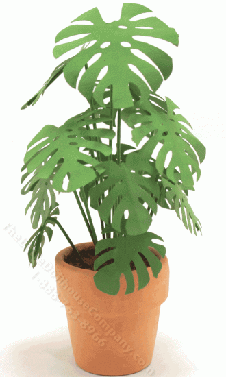 (image for) Miniature Delicious Monster Plant in Round Terracotta Pot