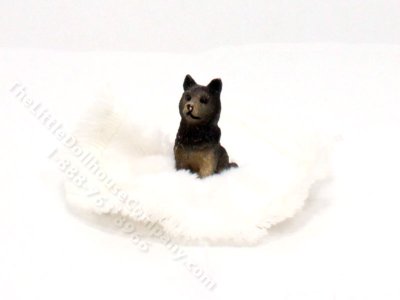 (image for) Dollhouse Scale Model Schipperke Playing w/Scrunched Carpet