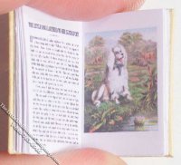 (image for) Miniature Book: 'Hey Diddle Diddle'