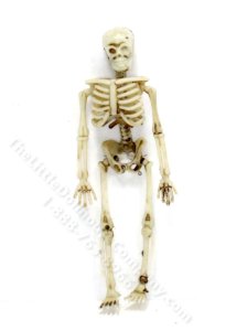 (image for) Miniature Set of 3 Skeletons for Dollhouses