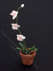 (image for) Miniature White Orchid Plant for Dollhouses