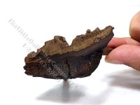 (image for) Miniature Driftwood Side Table/Stool w/ 3 Peg Legs by PRD Miniatures