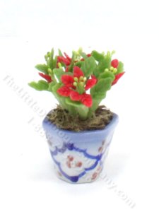 (image for) Miniature Poinsettia in a Ceramic Pot