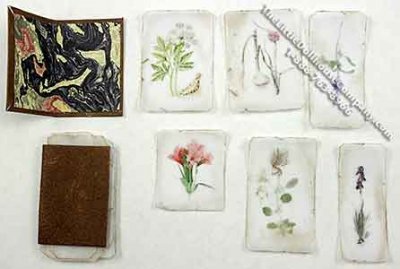 (image for) Pressed Flower Portfolio