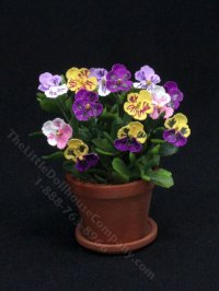 (image for) Miniature Pansies in Terracotta Pot by Mini Creations by Judy