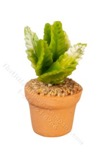 (image for) Miniature Aloe Plant for Dollhouses