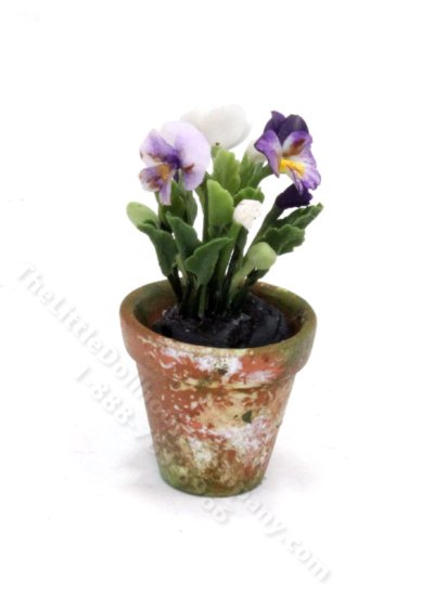 (image for) Miniature Purple Pansies in a Pot