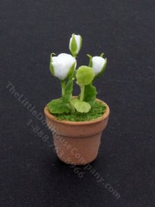 (image for) Miniature Pot of Roses for Dollhouses