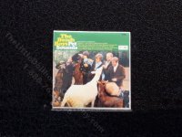 (image for) Miniature Beach Boys Vinyl Record