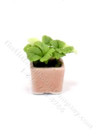 (image for) Miniature Leafy House Plant for Dollhouses