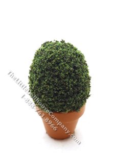 (image for) Miniature 3-1/2 inch Ovular Topiary for Dollhouses