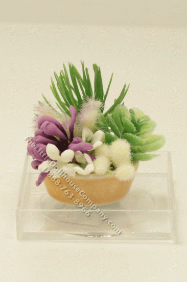 (image for) Dollhouse Miniature Succulent
