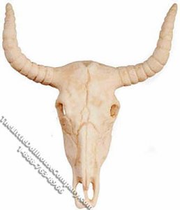 (image for) Miniature Buffalo Skull for Dollhouses