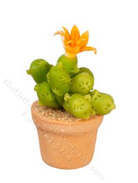(image for) Miniature Cactus Plant for Dollhouses