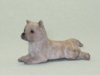 (image for) Miniature Laying Grey Brindle Cairn Terrier by Karl Blindheim