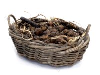 (image for) Miniature Basket of Dirty Potatoes by Charlotte Willmott