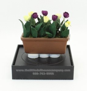 (image for) Miniature Tulips in a Window Boxes