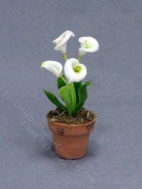 (image for) Miniature Potted Calla Lilies for Dollhouses